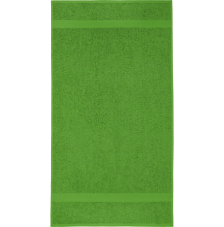 Efalock Standard Towel 50x90cm Apple 1st